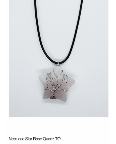 Necklace Star Tree Of Life